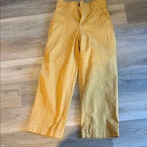 Everlane women’s  Mustard Chinos